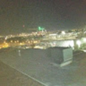 Meet your Posher, Jasper